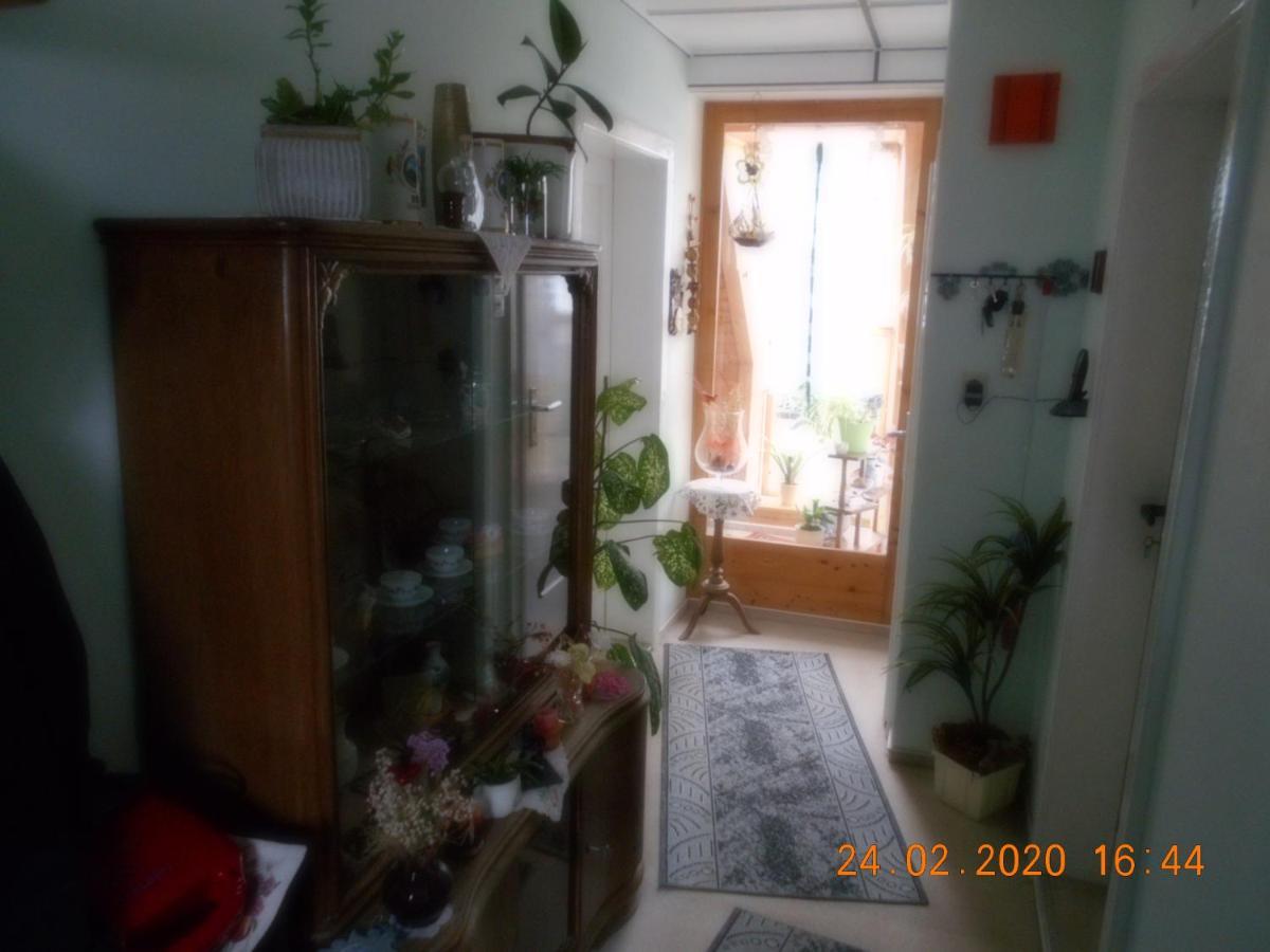 Vermiete Sehr Schoenes Apartment In Dankerode Im Harz Ngoại thất bức ảnh